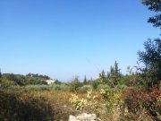 Aspro Olivenhain mit Meer- und Bergblick auf Kreta zum Verkauf Grundstück kaufen